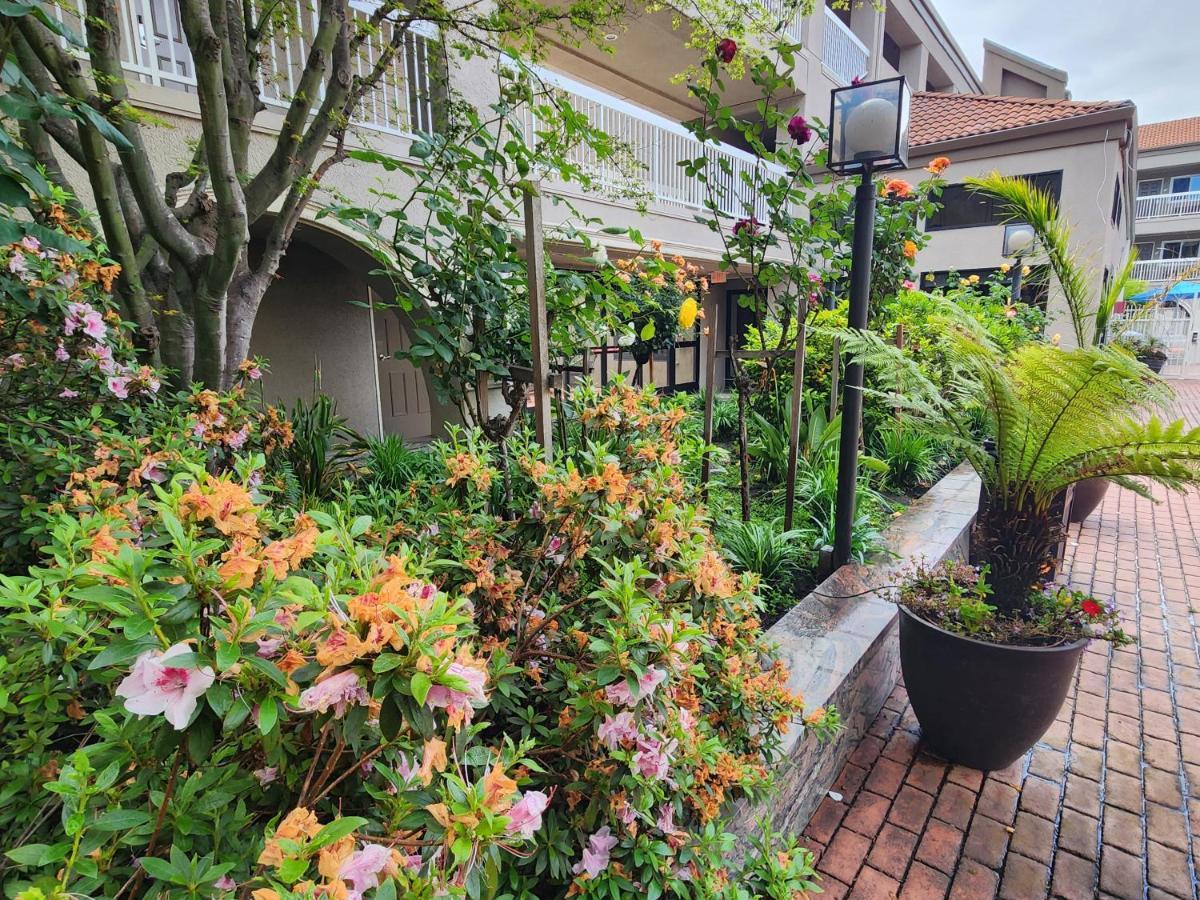 La Quinta By Wyndham San Francisco Airport West Millbrae Exterior foto