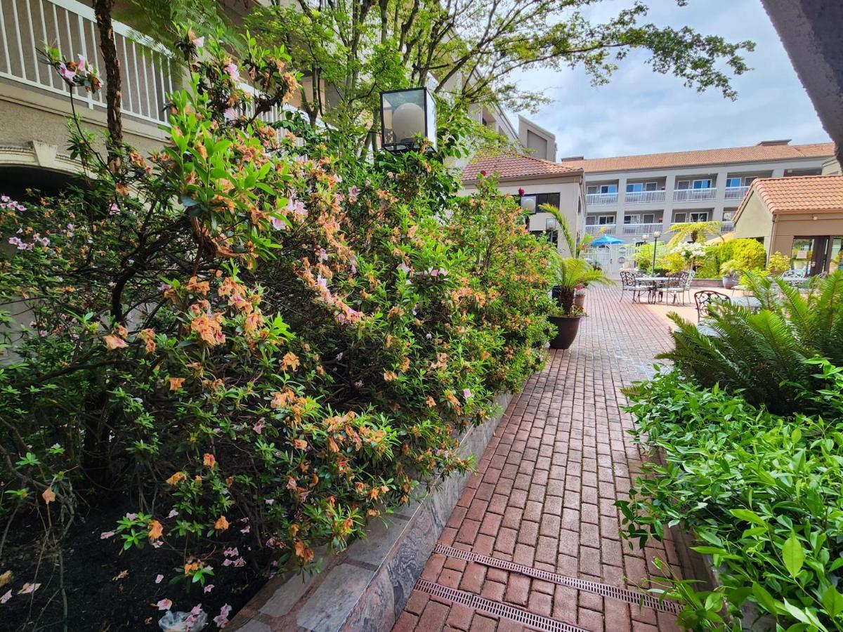 La Quinta By Wyndham San Francisco Airport West Millbrae Exterior foto